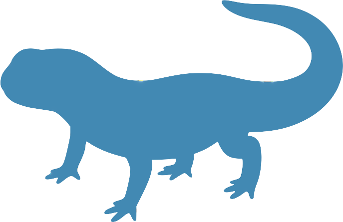 Newt Games / Newt Group LLC